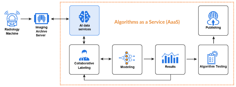 Algorithms as a Service
